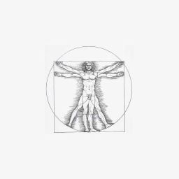 davincii-600x8002